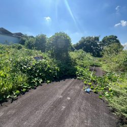 久留米市荒木町荒木　売地　8坪 画像6